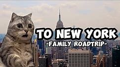 CAT MEMES: LET'S GO TO NEW YORK PT.1