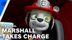 PAW Patrol | Marshall Is In Charge (S6, E2) | Paramount+