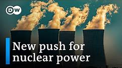 Czech Republic calls nuclear energy a 'priority' as it assumes EU Council Presidency | DW Business