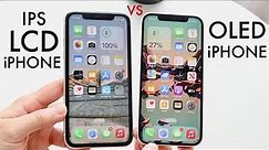 OLED iPhone VS LCD iPhone