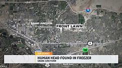 Human head found in freezer of home in western Colorado