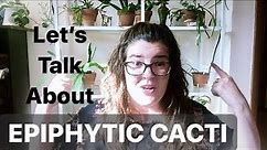 JUNGLE CACTUS 101: Facts, Care & Tour of My Epiphytic Cactus Collection!