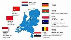 Current Demography map of the Netherlands (by migration background)