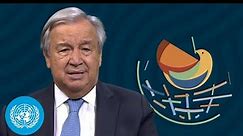 International Day of Peace - UN Chief message (21 September 2022)