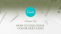 Canva Tip: How to Find Your Color Hex Codes