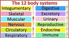 12 Organ Systems | Roles & functions | Easy science lesson