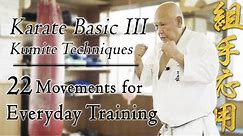 5 Minutes of Basic Training | 22 Kumite Applied Movements | Okinawan Karate | Ageshio Japan