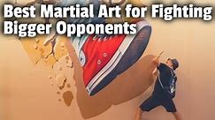 Best Martial Art for Fighting Bigger Opponents