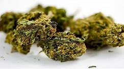 What Are THC & CBD? | Marijuana