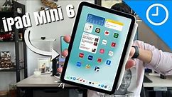 Here is Why the iPad Mini is Apple's Best iPad Ever