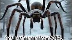 Opium spider / 2029 spider / you won’t understand this because it’s from 2029