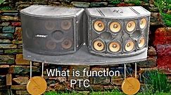 Bose 802 series III technical review why there are PTC there
