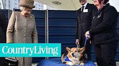 Queen Elizabeth and Her Royal Corgis | Country Living