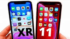 iPhone 11 vs iPhone XR Now!