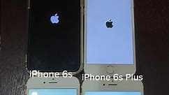 iPhone 6s vs iPhone 6s Plus vs iPhone 8 vs iPhone X boot up test #shorts #iphone6s #iphonex #iphone