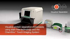 The V3 Western Workflow™ with ChemiDoc™ Touch Imaging System for Drug Discovery & Development