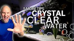 CRYSTAL CLEAR Aquarium Water | 5 More INGENIOUS Tips!