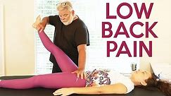 Chiropractic for Low Back Pain, Part 2 | Chiro Adjustment, Applied Kinesiology, Cause of Pain