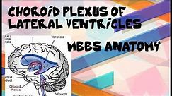 Choroid Plexus Of Lateral Ventricles Of Brain (Cerebrum).. PART 2/ MBBS ANATOMY