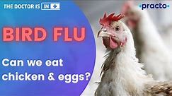 Bird Flu Symptoms, Causes, & Prevention (2021) || How should we cook Eggs and Chicken? || Practo