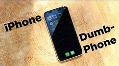 Turn your iPhone into a Light Phone II (dumbphone)