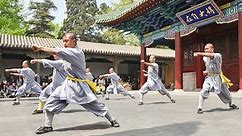 The Who, What and Why of Chinese Martial Arts
