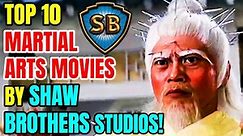 Top 10 Martial Arts Movies By Shaw Brothers Studios!