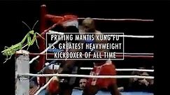 Great Kung Fu Fighter vs. The Greatest Heavyweight Kickboxer
