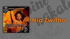 Makhadzi Entertainment - Niazwifha (Official Audio Visualizer) feat. Fortunator & Dj Gun-Do SA