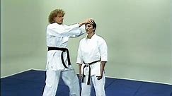 The Greatest Karate Style in the World😳