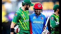 Pakistan vs. Afghanistan World Cup 2023: Performance Stats & Exciting Analysis for Today's Match