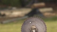 Red Ryder BB going through a hole in a saw blade twice ! Black Rifle Coffee Company Daisy Outdoor #sports #outdoors #skills | James Jean trickshots