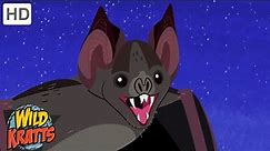The Vampire Bat | A Misunderstood Creature of the Night | Happy Halloween! | Wild Kratts