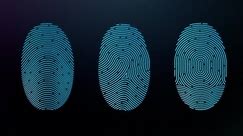 iPhone 5S Touch ID: How it Works