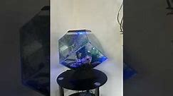 Ciano nexus diamond fish tank