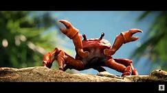 Dancing Crab Meme Original Full Video