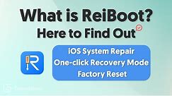 What is ReiBoot? Here to Find Out