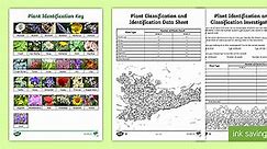 KS2 Plant Classification and Identification Science Investigation