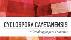 Cyclospora Cayetanensis