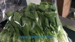 Leaf vegetable packing machine-Coretamp