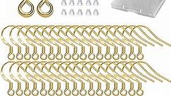 Gold Fishhook Earring Hooks - 120 PCS/60 Pairs 18K Gold Hypoallergenic Ear Wires Fish Hooks for Jewelry Making, Jewelry Findings Parts with 120 PCS Rubber Earring Backs Stopper for DIY Earrings