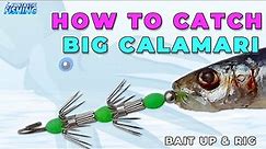 How To Bait Up and Jig Rig For Catching Big Calamari And Squid.