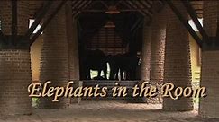 Elephants in the Room.