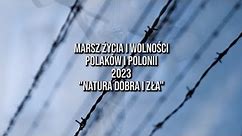 "NATURA DOBRA I ZŁA" - Reportaż z Marszu Życia i Wolności 2023 - GADOWSKI, ŻEBROWSKI, KUREK, BIELAT