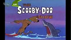 The Scooby Doo Show Theme Song & Credits