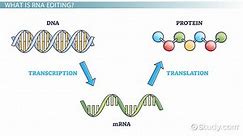 RNA Modification | Definition & Mechanism