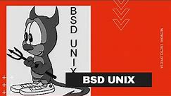 BSD UNIX - NETWORK ENCYCLOPEDIA