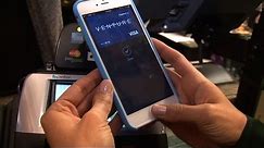 Apple Pay is the most secure way to pay, with a catch