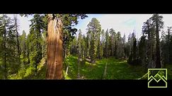 2017 Finalist Trailer: 360 Climbing Giants