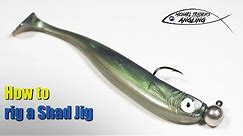 How to rig a Shad Jig/swimbait - Basic angling tips